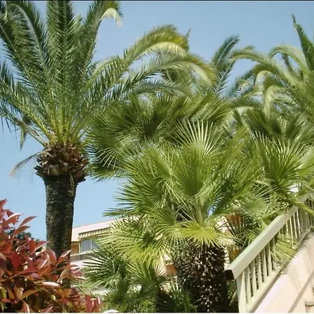 Apartman Angela Golfe-Juan